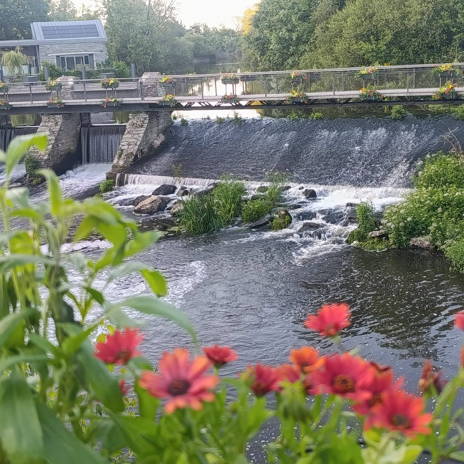 Il fiume e i giardini fioriti di La Gacilly
