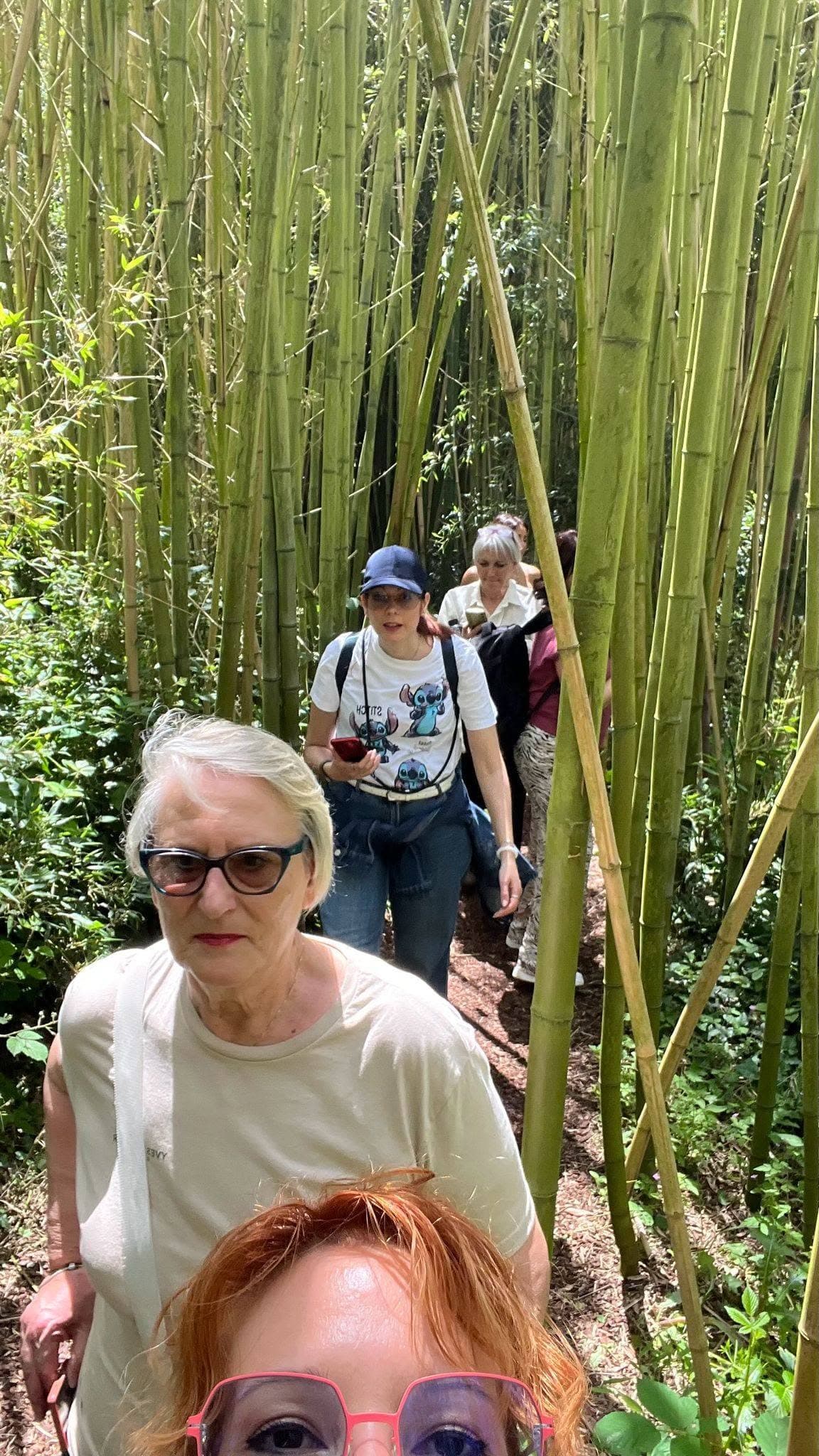 In cammino nel giardino botanico con la squadra